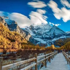 国产特特A级毛片VVWW
