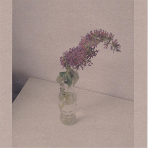 国产特特A级毛片VVWW
