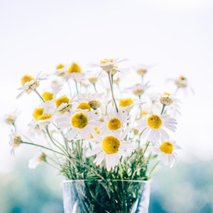 国产特特A级毛片VVWW
